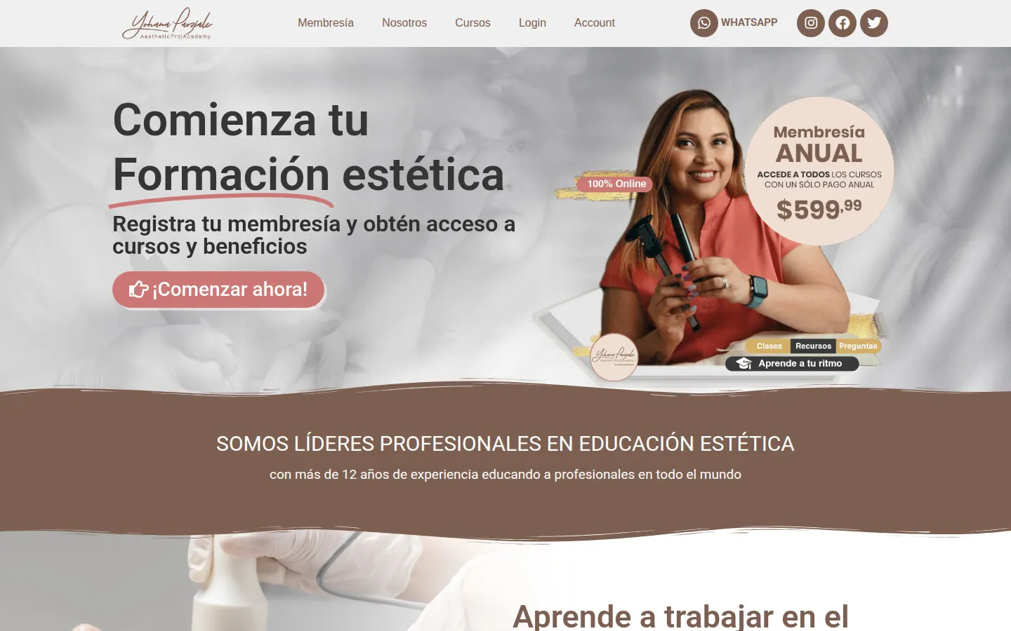 Sitio web de Aesthetic Pro Academy desarrollado por Carocas Digital